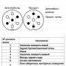Розетка + вилка фаркопа семиконтактні плаcтіковая